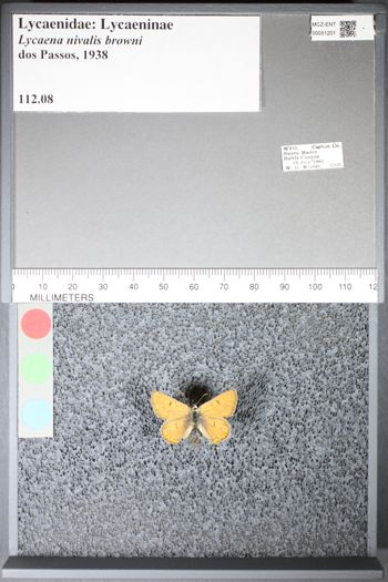 Media type: image;   Entomology 51201